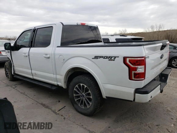 2019 Ford F-150 XL with VIN 1FTEW1E4XKKE81484, listed as a Copart auction lot 49852825 with 82,035 mi miles and Salvage Title. Bid and sale history available at carsss.com. Image 2.