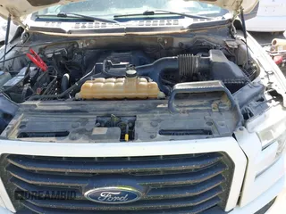 2015 Ford F-150 XLT with VIN 1FTEW1EP0FFA16253, listed as a IAAI auction lot 41852006 with 313,018 mi miles. Bid and sale history available at carsss.com. Image 10.