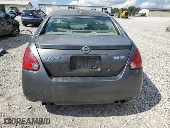 2006 Nissan Maxima 3.5 SE with VIN 1N4BA41EX6C842106, listed as a Copart auction lot 73371904 with 176,934 mi miles and Salvage Title. Bid and sale history available at carsss.com. Image 6.