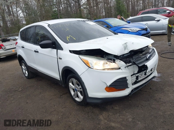 2013 Ford Escape S with VIN 1FMCU0F74DUD11737, listed as a IAAI auction lot 41907667 with 194,557 mi miles. Bid and sale history available at carsss.com. Image 1.