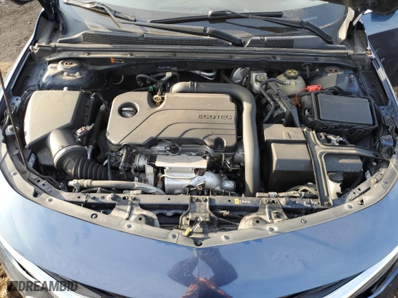 2019 Chevrolet Malibu LT with VIN 1G1ZD5ST9KF107783, listed as a Copart auction lot 49038025 with 145,680 mi miles and Salvage Title. Bid and sale history available at carsss.com. Image 11.