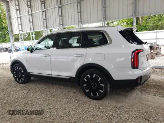 2024 Kia Telluride SX Prestige X-Pro with VIN 5XYP5DGC8RG431636, listed as a Copart auction lot 55682855 with 14,114 mi miles and Salvage title. Bid and sale history available at DreamBid. Image 2.