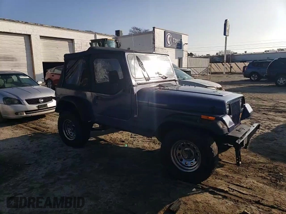 1994 Jeep Wrangler S with VIN 1J4FY19PXRP404320, listed as a Copart auction lot 85633464 with 130,824 mi miles and Salvage Title. Bid and sale history available at carsss.com. Image 11.