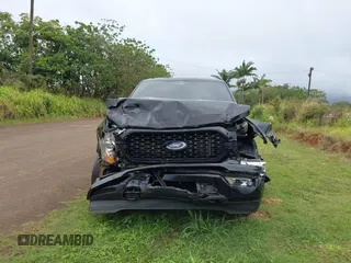 2022 Ford F-150 XL с VIN 1FTFW1E52NKD42015, выставлен на аукционе IAAI как лот 42068734 с пробегом 35 353 миль миль и . История ставок и продаж доступна на DreamBid. Изображение 12.
