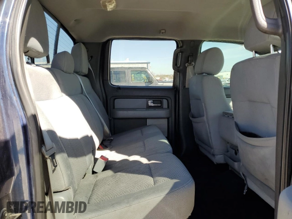 2013 Ford F-150 XL with VIN 1FTFW1CF9DFD82191, listed as a Copart auction lot 49337715 with 222,339 mi miles and Salvage title. Bid and sale history available at DreamBid. Image 10.