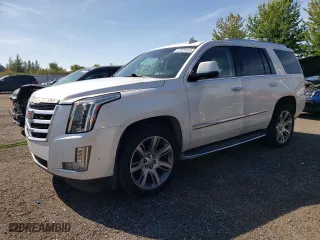 2017 Cadillac Escalade Premium Luxury with VIN 1GYS4CKJ9HR247555, listed as a Copart auction lot 67227513 with 206,283 mi miles. Bid and sale history available at carsss.com. Image 1.