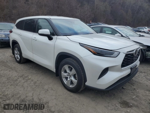 2022 Toyota Highlander L with VIN 5TDCZRBHXNS210846, listed as a Copart auction lot 87204684 with 19,239 mi miles and Salvage title. Bid and sale history available at DreamBid. Image 4.
