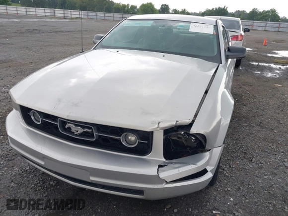 2006 Ford Mustang Standard с VIN 1ZVHT80N365131890, выставлен на аукционе IAAI как лот 42291926 с пробегом 199 403 миль миль и . История ставок и продаж доступна на DreamBid. Изображение 6.