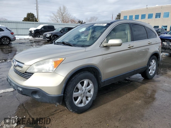 2008 Honda CR-V EX-L with VIN JHLRE48758C045305, listed as a Copart auction lot 45600265 with 122,604 mi miles and Salvage Title. Bid and sale history available at carsss.com. Image 1.