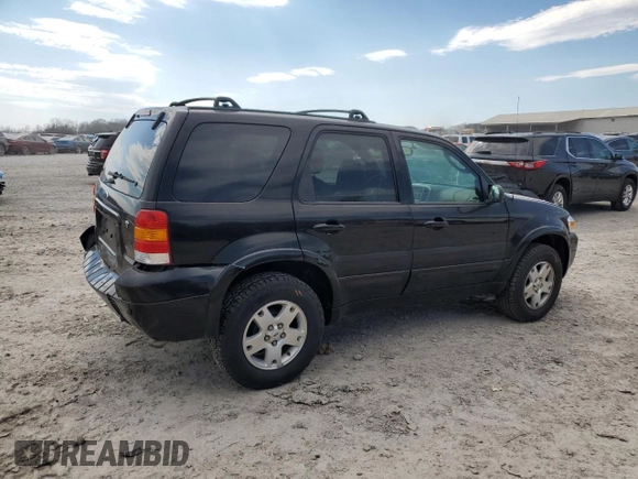 2006 Ford Escape Limited with VIN 1FMCU04196KA18798, listed as a Copart auction lot 50420725 with 113,425 mi miles and Clean title. Bid and sale history available at DreamBid. Image 3.