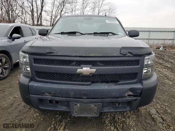 2007 Chevrolet Silverado 1500 Work Truck with VIN 1GCEC19CX7Z501452, listed as a Copart auction lot 44566855 with 0 mi miles and Salvage Title. Bid and sale history available at carsss.com. Image 5.