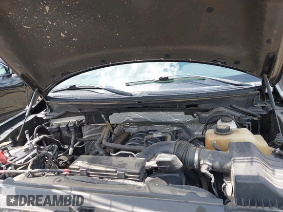 2013 Ford F-150 XL with VIN 1FTFW1EF5DFB95804, listed as a IAAI auction lot 42354290 with 115,206 mi miles and . Bid and sale history available at DreamBid. Image 10.
