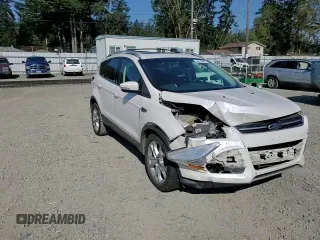 2016 Ford Escape Titanium with VIN 1FMCU9JX5GUC44579, listed as a Copart auction lot 54974965 with 113,776 mi miles and Salvage Title. Bid and sale history available at DreamBid. Image 14.