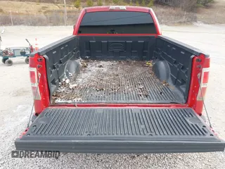 2010 Ford F-150 XL with VIN 1FTFX1EV3AFB15710, listed as a IAAI auction lot 41588363 with 178,529 mi miles and . Bid and sale history available at DreamBid. Image 8.