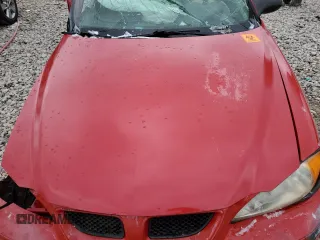 2004 Pontiac Grand Am SE1 with VIN 1G2NF52FX4M670824, listed as a Copart auction lot 48762285 with 0 mi miles and Clean Title. Bid and sale history available at carsss.com. Image 11.