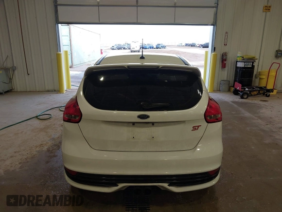 2017 Ford Focus ST with VIN 1FADP3L95HL206679, listed as a IAAI auction lot 41251281 with 109,389 mi miles and . Bid and sale history available at carsss.com. Image 17.