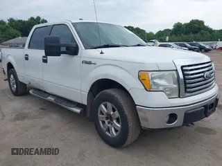 2010 Ford F-150 XL with VIN 1FTFW1EV6AFD06315, listed as a IAAI auction lot 42554806 with 123,160 mi miles and . Bid and sale history available at DreamBid. Image 1.