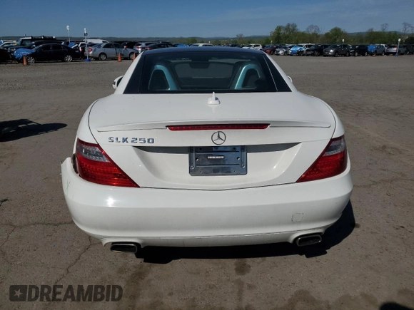 2014 Mercedes-Benz SLK 250 with VIN WDDPK4HA1EF081565, listed as a Copart auction lot 54008025 with 87,808 mi miles and Salvage title. Bid and sale history available at DreamBid. Image 6.