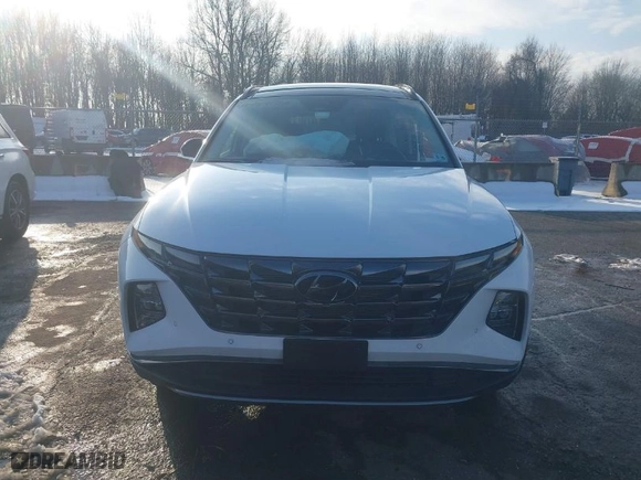 2024 Hyundai Tucson Limited with VIN 5NMJECDE2RH395082, listed as a IAAI auction lot 41489187 with 4,055 mi miles. Bid and sale history available at carsss.com. Image 11.