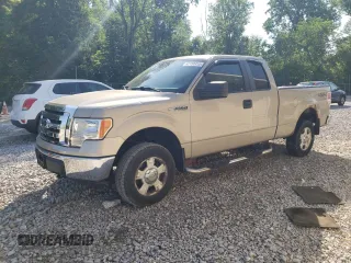 2010 Ford F-150 XL with VIN 1FTEX1E84AFA65115, listed as a Copart auction lot 62159415 with 74,988 mi miles and Clean title. Bid and sale history available at DreamBid. Image 1.
