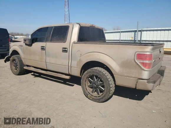 2010 Ford F-150 XL with VIN 1FTEW1C82AFD04120, listed as a Copart auction lot 48870955 with 209,719 mi miles and Salvage Title. Bid and sale history available at carsss.com. Image 2.