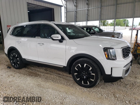 2024 Kia Telluride SX Prestige X-Pro with VIN 5XYP5DGC8RG431636, listed as a Copart auction lot 55682855 with 14,114 mi miles and Salvage title. Bid and sale history available at DreamBid. Image 4.