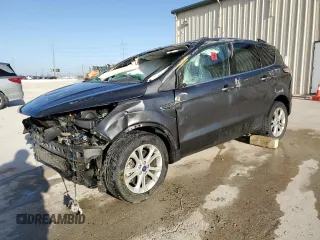 2018 Ford Escape SE with VIN 1FMCU0G95JUB49807, listed as a Copart auction lot 49744025 with 142,868 mi miles and Non Repairable. Bid and sale history available at carsss.com. Image 1.