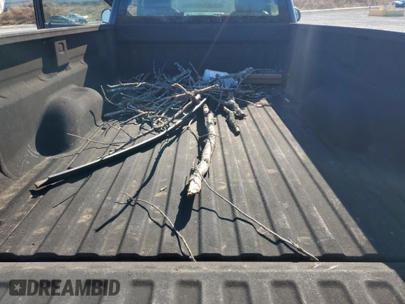 2009 Chevrolet Silverado 1500 Work Truck with VIN 1GCEC14X59Z189974, listed as a Copart auction lot 43809405 with 195,331 mi miles and Salvage Title. Bid and sale history available at DreamBid. Image 10.