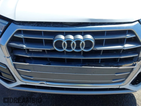 2019 Audi Q5 Premium with VIN WA1ANAFY3K2022536, listed as a IAAI auction lot 42004758 with 111,708 mi miles and . Bid and sale history available at DreamBid. Image 6.