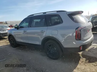 2024 Kia Telluride EX with VIN 5XYP3DGC6RG415036, listed as a Copart auction lot 81708394 with 32,494 mi miles and Salvage Title. Bid and sale history available at carsss.com. Image 2.