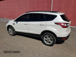 2017 Ford Escape SE with VIN 1FMCU0GD9HUA55234, listed as a Copart auction lot 54173385 with 216,896 mi miles and Clean Title. Bid and sale history available at DreamBid. Image 2.