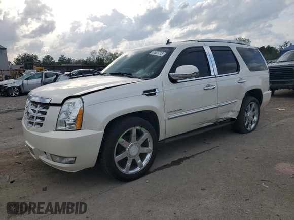 2010 Cadillac Escalade Premium with VIN 1GYUKCEF1AR291044, listed as a Copart auction lot 51627715 with 138,989 mi miles and Salvage title. Bid and sale history available at DreamBid. Image 1.