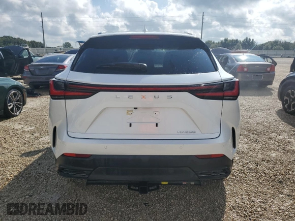 2023 Lexus NX with VIN JTJGDCAZ2P5009827, listed as a Copart auction lot 73701374 with Not Provided miles and Non Repairable. Bid and sale history available at carsss.com. Image 6.