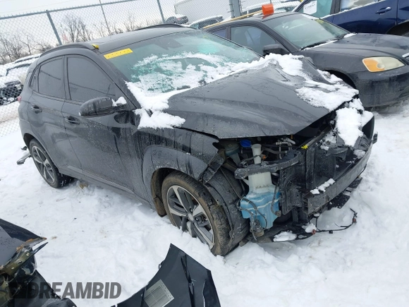 2019 Hyundai Kona Limited with VIN KM8K33A58KU240609, listed as a IAAI auction lot 41272652 with 123,045 mi miles. Bid and sale history available at carsss.com. Image 1.