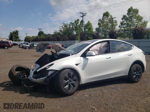 2024 Tesla Model Y with VIN 7SAYGDED9RF133701, listed as a Copart auction lot 64060785 with Not provided miles and Salvage title. Bid and sale history available at DreamBid. Image 1.
