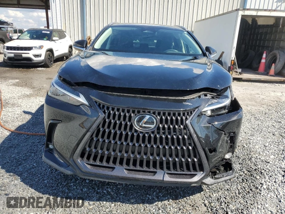 2023 Lexus NX 250 с VIN 2T2ADCAZ0PC004097, выставлен на аукционе Copart как лот 44731785 с пробегом 19 160 миль миль и Списание • Salvage title. История ставок и продаж доступна на DreamBid. Изображение 5.