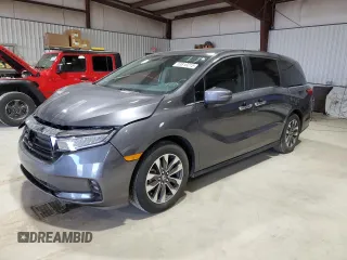 2024 Honda Odyssey EX-L with VIN 5FNRL6H69RB069598, listed as a Copart auction lot 53810215 with 5,789 mi miles and Salvage Title. Bid and sale history available at DreamBid. Image 1.
