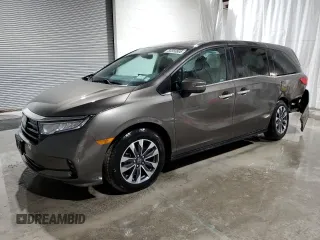 2022 Honda Odyssey EX-L z VIN 5FNRL6H71NB008541, wystawiony jako Copart lot #56850895 z przebiegiem 32 466 mil mil oraz Szkody całkowita. Historia ofert i sprzedaży dostępna na DreamBid. Obrazek 1.