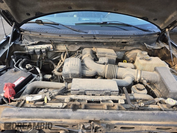 2009 Ford F-150 XL with VIN 1FTPW14V29FB29022, listed as a Copart auction lot 59518745 with 225,701 mi miles and Salvage title. Bid and sale history available at DreamBid. Image 12.