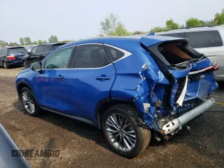 2022 Lexus NX with VIN 2T2GKCEZ6NC003981, listed as a Copart auction lot 56117113 with 15,294 mi miles. Bid and sale history available at carsss.com. Image 2.
