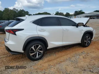 2019 Lexus NX 300 with VIN JTJYARBZ9K2150855, listed as a Copart auction lot 55296355 with Not provided miles and Salvage title. Bid and sale history available at DreamBid. Image 3.