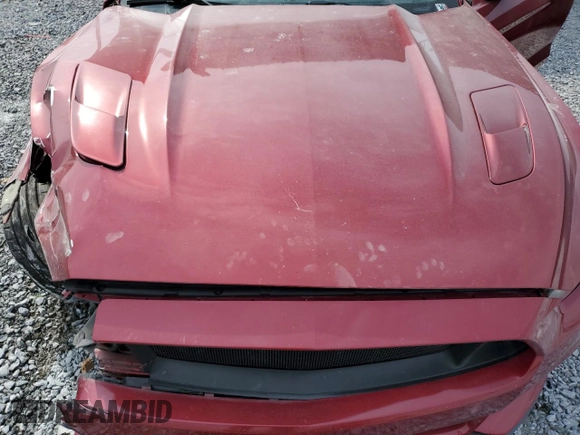 2017 Ford Mustang GT with VIN 1FA6P8CF6H5240307, listed as a Copart auction lot 47016745 with Not Provided miles and Salvage Title. Bid and sale history available at DreamBid. Image 11.