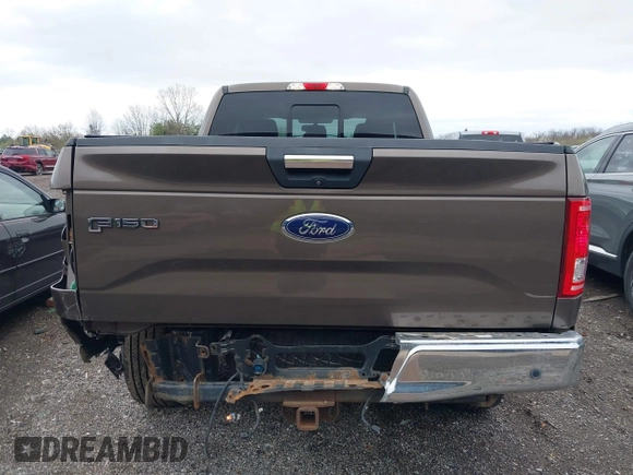 2016 Ford F-150 XLT with VIN 1FTEX1EP7GFC98017, listed as a IAAI auction lot 41913333 with 75,256 mi miles. Bid and sale history available at carsss.com. Image 17.
