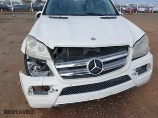 2010 Mercedes-Benz GL-Class GL 450 with VIN 4JGBF7BEXAA557644, listed as a IAAI auction lot 41862216 with 141,849 mi miles. Bid and sale history available at carsss.com. Image 6.
