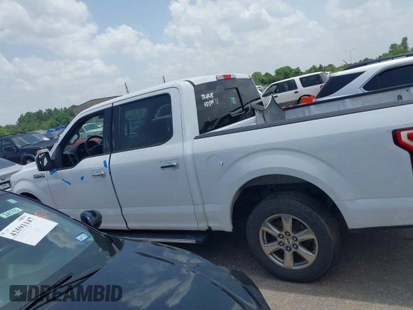 2019 Ford F-150 XL with VIN 1FTEW1C47KKE32195, listed as a IAAI auction lot 42637913 with Not provided miles and . Bid and sale history available at DreamBid. Image 14.