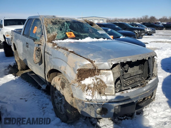 2011 Ford F-150 XL with VIN 1FTFX1ET2BFD29572, listed as a Copart auction lot 87320264 with 232,370 mi miles and Salvage Title. Bid and sale history available at carsss.com. Image 4.