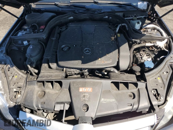 2013 Mercedes-Benz E-Class E 350 with VIN WDDKJ8JB4DF215376, listed as a Copart auction lot 49077205 with 0 mi miles and Non Repairable. Bid and sale history available at carsss.com. Image 12.