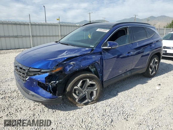 2023 Hyundai Tucson Limited with VIN 5NMJECAE1PH270656, listed as a Copart auction lot 60843895 with 8,743 mi miles and Salvage title. Bid and sale history available at DreamBid. Image 1.