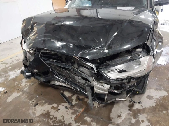 2014 Audi A4 Premium Plus with VIN WAUFFAFL5EN005217, listed as a IAAI auction lot 40971901 with 217,529 mi miles. Bid and sale history available at carsss.com. Image 6.