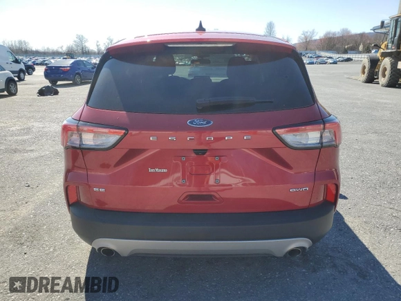 2022 Ford Escape SE with VIN 1FMCU9G68NUA03725, listed as a Copart auction lot 50210135 with 22,821 mi miles and Salvage Title. Bid and sale history available at DreamBid. Image 6.